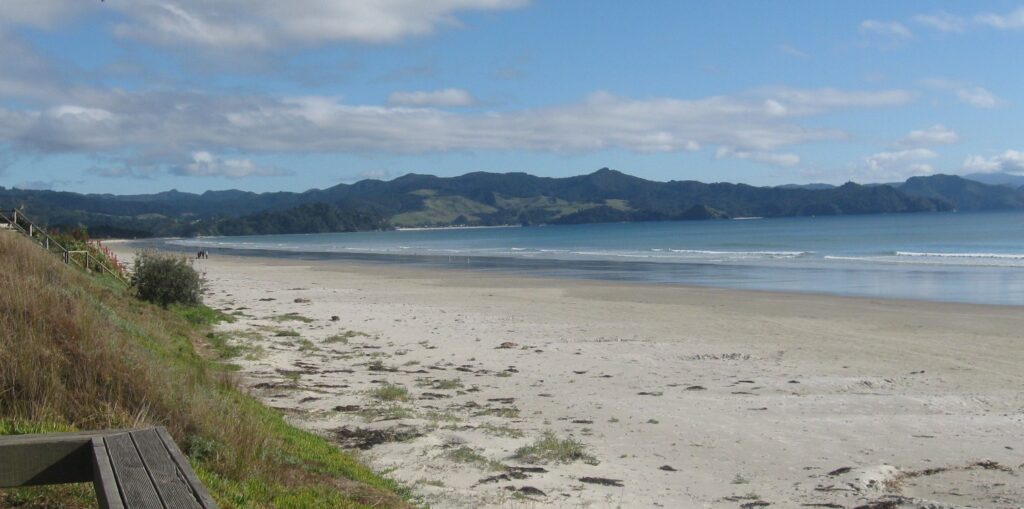 Matarangi Looking North-west